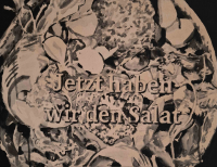 https://www.andreasleikauf.net:443/files/gimgs/th-51_jetzt haben wir den salat.jpg